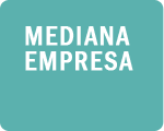 Pymes Per&uacute;