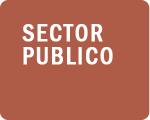 Sector Publico Per&uacute;