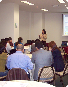 Sector Público Perú